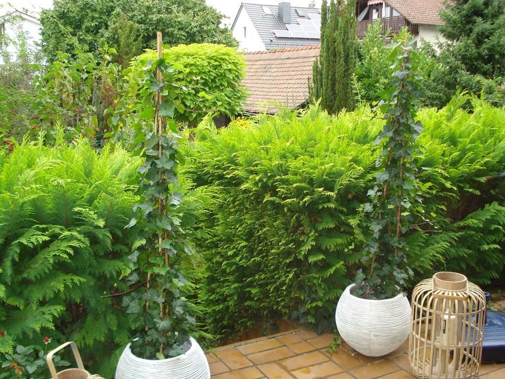 Ferienwohnung Sartorius Bensheim Ruang foto